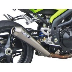 Terminali Zard Silenziatore Conico Triumph Speed Triple 1050 2005