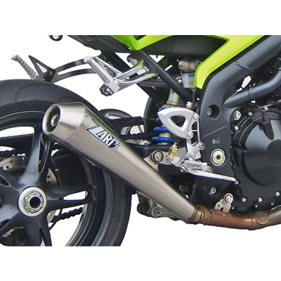Terminali Zard Silenziatore Conico Triumph Speed Triple 1050 2005
