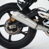 Terminali Zard Silenziatore Basso Conico Triumph Street Triple 675